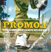 Promoe - These Walls Don't Lie