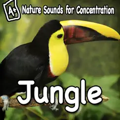 Nature Sounds for Concentration - Jungle - Single by Study Music album reviews, ratings, credits
