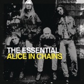 The Essential Alice In Chains artwork