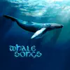 Whale Songs album lyrics, reviews, download