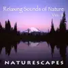 Relaxing Sounds of Nature, Vol. 2 album lyrics, reviews, download