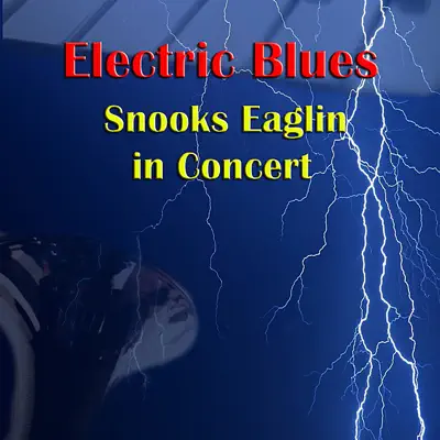 Snooks Eaglin in Concert - Snooks Eaglin