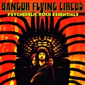 Bangor Flying Circus - Come On People