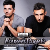 Frozen Roads (Chillout Album Collection) artwork