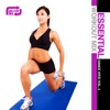 Essential Workout Mix: Dance Hits!, Vol. 3, 2009