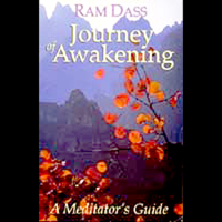 Ram Dass - Journey of Awakening artwork