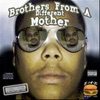 Brothers from a Different Mother