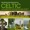 (Traditional Celtic Classic) - And She Moves Through The Fair