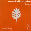 Stream & download Awakening : Marshall Mcguire