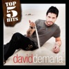 Top 5 Hits: Davíd Demaría - EP
