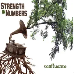 Confluence by Strength in Numbers album reviews, ratings, credits