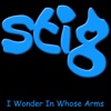 I Wonder In Whose Arms - Single