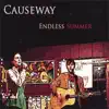 Endless Summer album lyrics, reviews, download