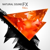 Natural Sound FX: Fall artwork