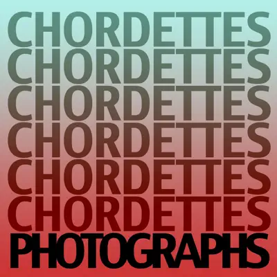 Photographs - The Chordettes Photographs - The Chordettes