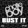 Bust It (feat. Beat King) - Single, 2011