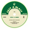 Criss n Shine (feat. Delhi Sultanate) - Single, 2011