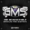 GMS "The Remixes" Vol 2, 2010