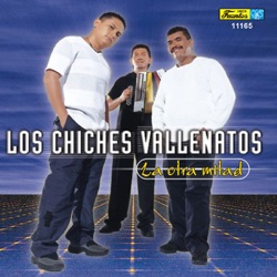 Los Chiches Vallenatos - Solo un Te Quiero