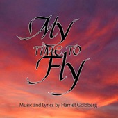 My Time to Fly (Feat. Dane Vannatter) artwork