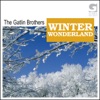 Winter wonderland Christmas with The Gatlin Brothers