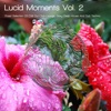 Lucid Moments, Vol. 2. - Finest Selection of Chill out Club Lounge, Sexy Deep House and Dub Techno