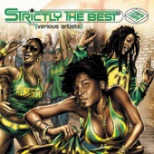 Strictly the Best, Vol. 33 artwork