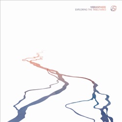 Vibrasphere - Erosion