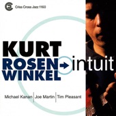 Kurt Rosenwinkel - Summertime