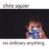 Chris Squier - Heroes*