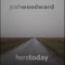 Troublemaker - Josh Woodward lyrics