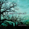 Aleph Motivus II