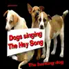 Dogs Singing the Hey Song - SIngle album lyrics, reviews, download