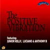 Stream & download Positive Vibration