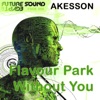 Flavour Park / Without You - Single