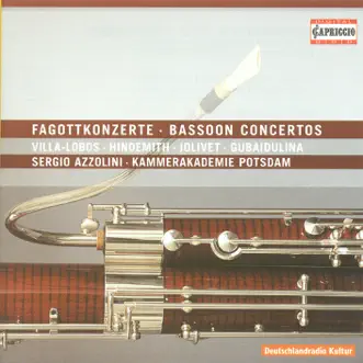 Bassoon Concerto: II. Largo Cantabile - by Maurice Bourgue, Sergio Azzolini, Kammerakademie Potsdam, Vida Izadi & Tomoko Takahashi song reviws