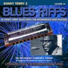 Sonny Terry Blues Riffs 2, Vol. 19