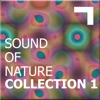 Sound of the nature – collection 1