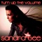 Turn Up the Volume (Club Mix) - Sandra Gee lyrics