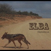 Elba - Diplodocus