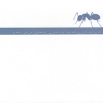 Every Boy Needs a Hero