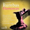Las Mejores Rumbas, Volumen 5