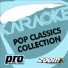 Zoom Karaoke - Pop Classics Collection, Vol. 119