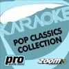 Zoom Karaoke: Pop Classics Collection, Vol. 164