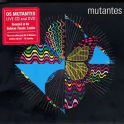 Mutantes Live - Barbican Theatre, London, 2006 - Os Mutantes