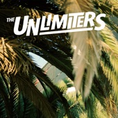 The Unlimiters artwork