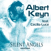 Silent Angels (Natan White Remix) (feat. Cecilia Luce) artwork
