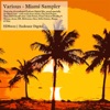 Miami Sampler 2011