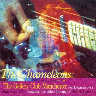 Live at the Gallery Club, Manchester, 1982 - The Chameleons Live at the Gallery Club, Manchester, 1982 - The Chameleons