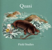 Quasi - Birds